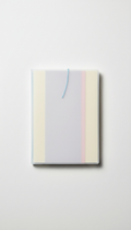 Hand-Bound Minimalist Journal With Vellum Overlay
